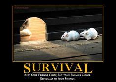 Survival Sarcastic Quotes, Funny Quotes, Funny Memes, Hilarious ...