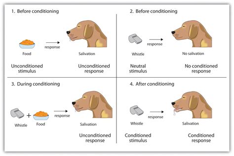 The Radical Education: Classical Conditioning