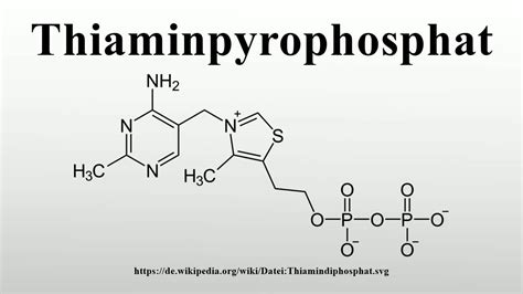 Thiaminpyrophosphat - YouTube