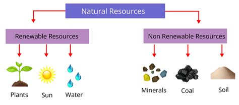 Renewable and Non-Renewable Resources : Types, Differences, Examples ...