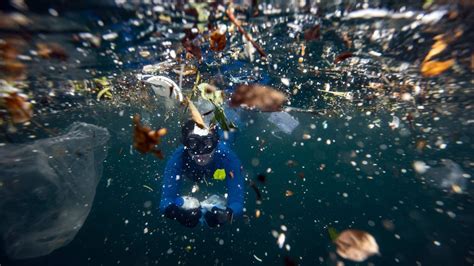 Solving Ocean Plastic Pollution Won't Be Easy, but We Have No Choice ...