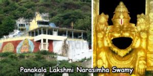 Mangalagiri Panakala Lakshmi Narasimha Swamy Temple, Pooja, Timings