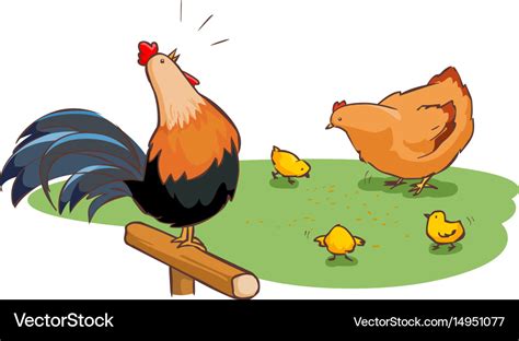 Rooster hen and chicks family on backyard Vector Image