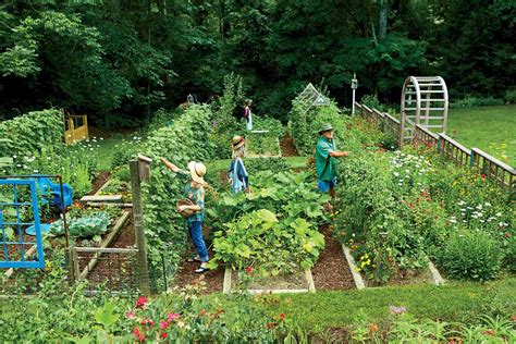 8 Secrets To Growing Your Own Veggie Patch