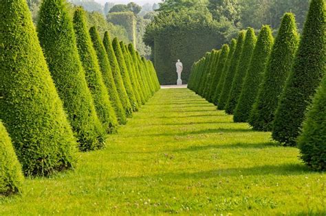 Visitar los jardines del Palacio de Versalles. Lo más interesante.