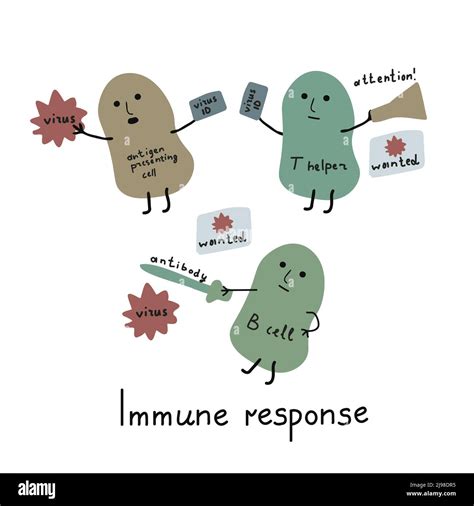 Immune response illustration cartoon style Stock Vector Image & Art - Alamy