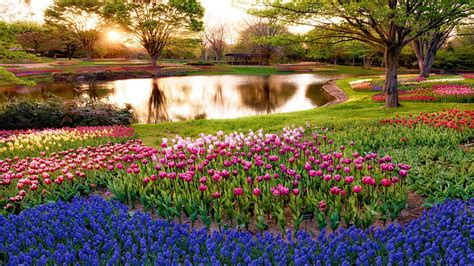 Wonderful flowers in a garden around a pond, pond, garden, flowers ...