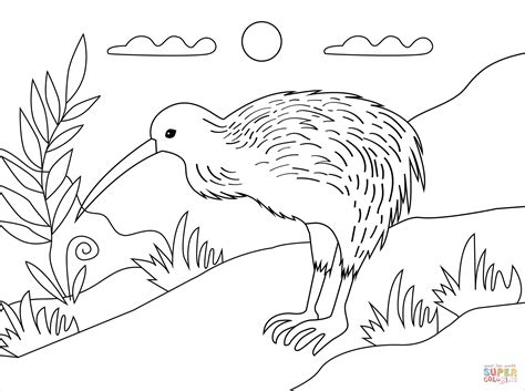 Desenho de pássaro kiwi para colorir | Desenhos para colorir e imprimir ...