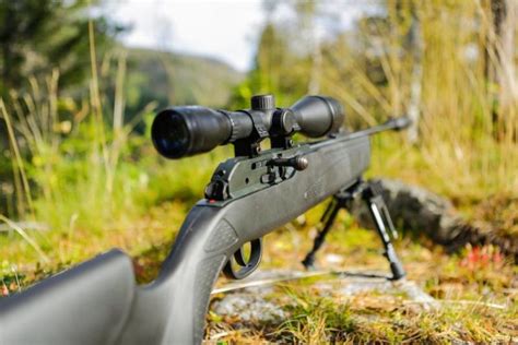 Finally: 6 Best Budget-Friendly Long Range Hunting Rifles