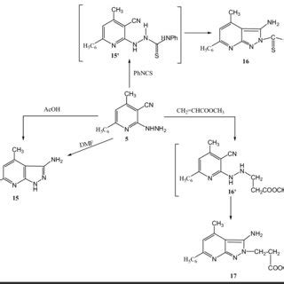 Scheme 2. Synthesis of pyridopyrimidine derivatives. | Download ...