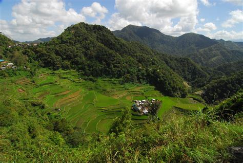 Ifugao Rice Terraces declared GMO-Free Zone | 16 March 2009,… | Flickr