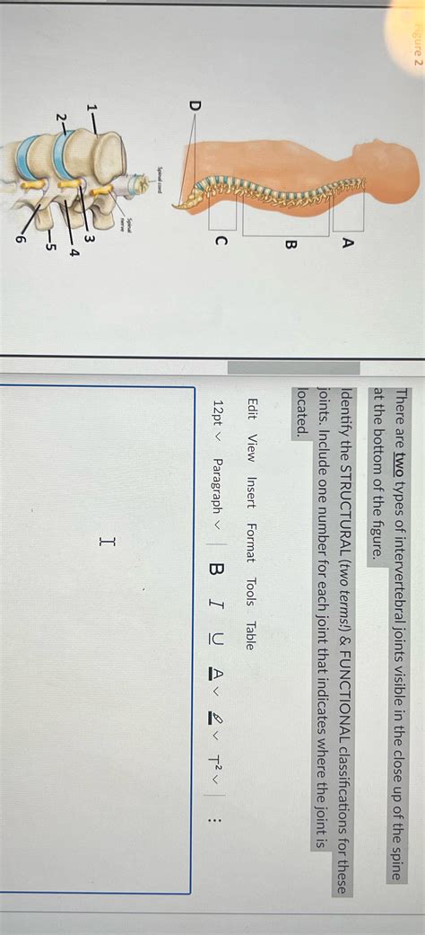 Please help. Figure 2 There are two types of intervertebral joints ...