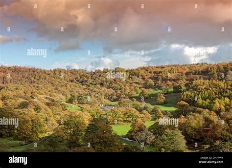 Autumn Colours towards Tarn Hows Stock Photo - Alamy