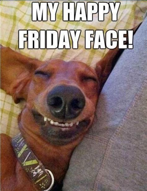 funny friday faces - Dump A Day