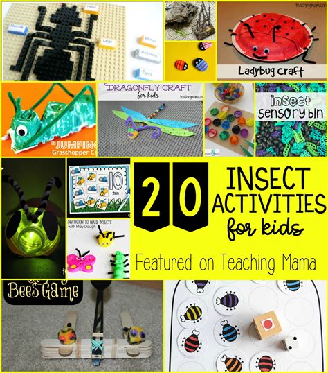 20 Insect Activities for Kids