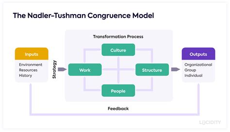 Guide To The Nadler-Tushman Congruence Model | Lucidity