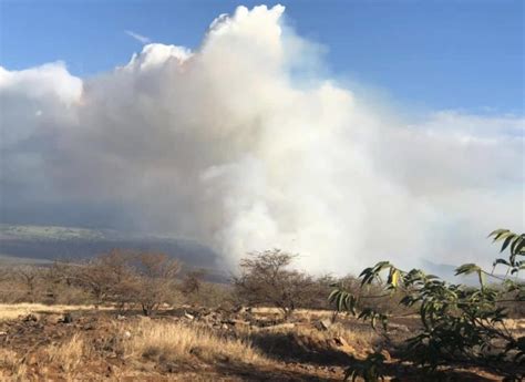 Update: Kihei brush fire ‘100 percent’ contained | KHON2