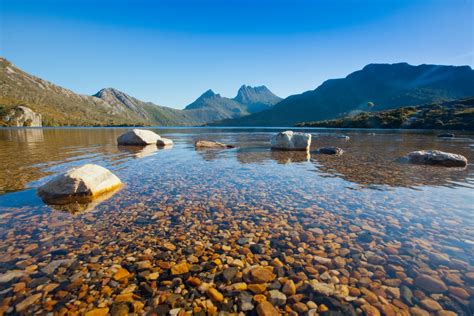 Tasmania – Wildlife and Conservation with Wilderness Flight Safari ...