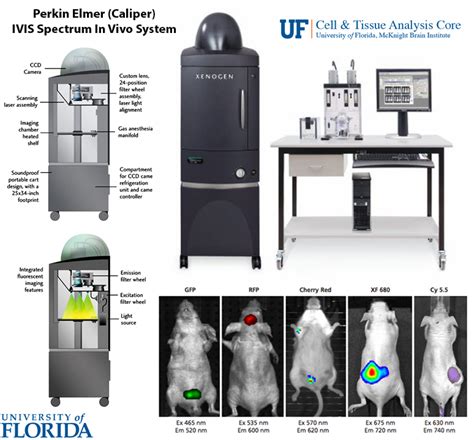 Perkin Elmer (Caliper) IVIS Spectrum In Vivo System » Cell & Tissue ...