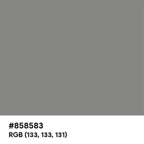 Pearl Light Grey color hex code is #858583