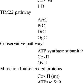 Mitochondrial inner membrane proteins | Download Table