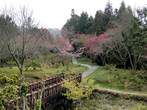 Alishan National Scenic Area | Wiki | Everipedia