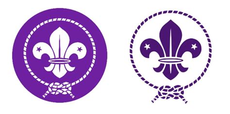 Chapter 14: Other matters | Policy, Organisation and Rules | Scouts