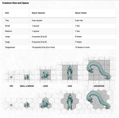 5e size chart - Google Search | Dungeons and dragons homebrew, D&d ...