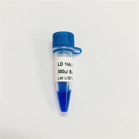 1000bp DNA Marker Electrophoresis , Gel Electrophoresis 1 Kb Dna Ladder