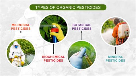 Types Of Pesticides Used In Farming – Importance And Benefits