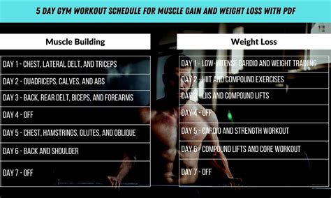 Bodybuilding Workout Chart With Pictures Pdf | EOUA Blog