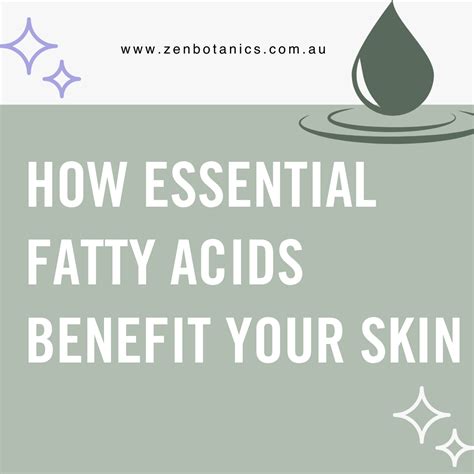 How essential fatty acids benefit your skin | Zen Botanics