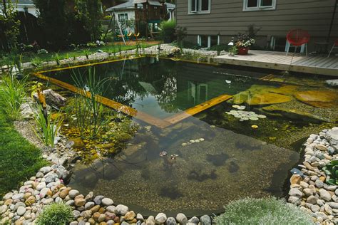 Natural Swimming Pool Installation Service - Passion Pool & Pond