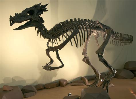 Dracorex Hogwartsia - Facts and Figures