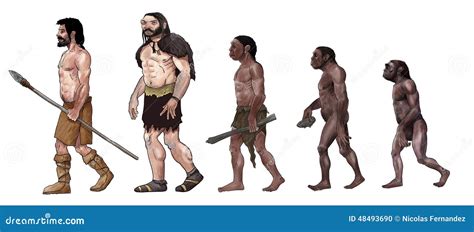 Human Evolution Illustration | CartoonDealer.com #48493690