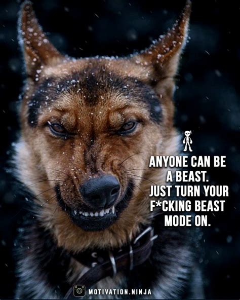 Beast mode on. | Success quotes, Beast mode quotes, Motivational quotes ...