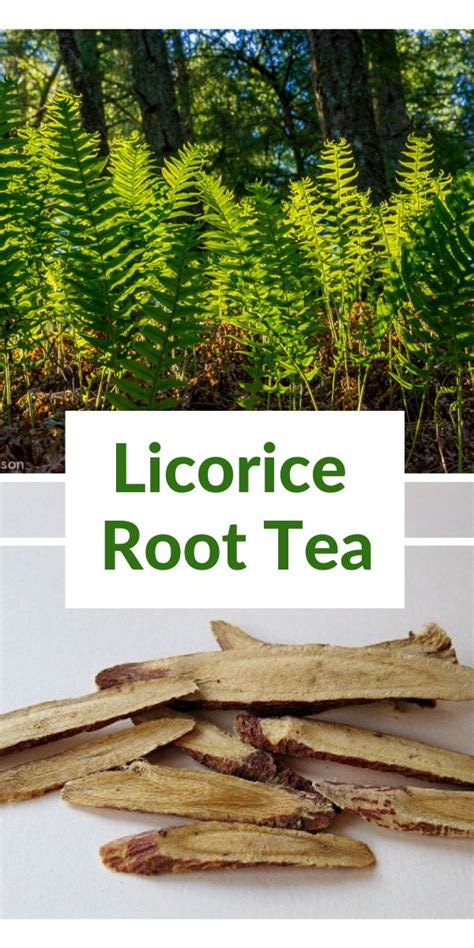 Licorice Root Tea Health Benefits and How to Prepare It | Licorice root ...