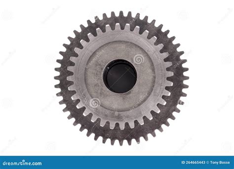 Gear Wheel, Isolated stock image. Image of metal, round - 264665443