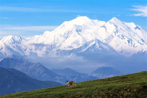 Insider's Guide to Denali National Park & Preserve - KÜHL Blog