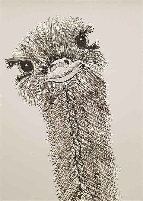 Cute ostrich pen art fun funny animal bird | Pencil drawings of animals ...