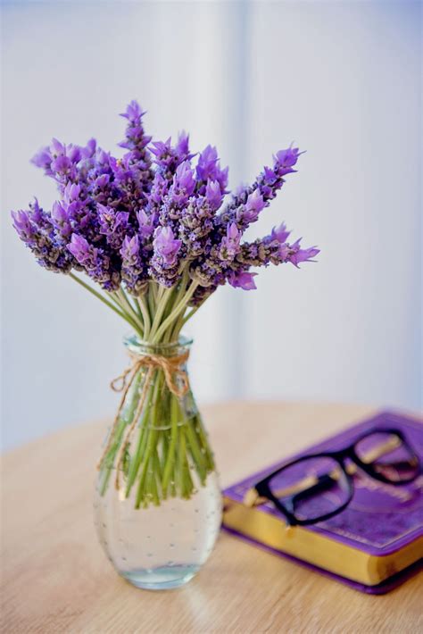 Calm Your Anxiety: Ease Stress Naturally With Lavender Oil - Mother ...