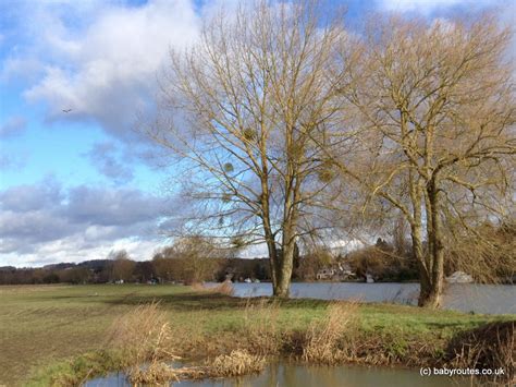 Cookham-Winter Hill Thames Path Loop Walk