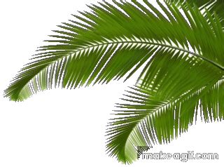 Palm Tree on Make a GIF