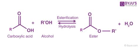 Condensation Reaction Between Alcohol And Carboxylic Acid