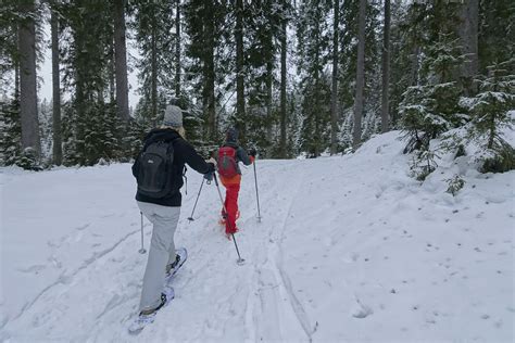 Things to Do in Winter at Lake Bled, Slovenia - TravelingMel