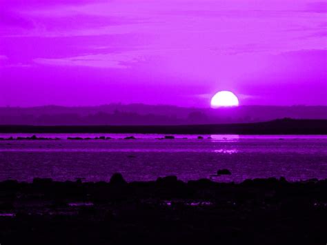 purple sunset | Purple sunset, Dark purple aesthetic, Sky lake