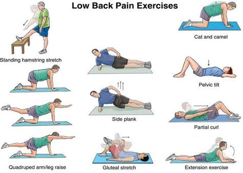 Musculoskeletal System — Ancient Practice Modern Healthcare ...