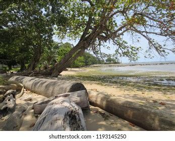 Beaches Libreville Gabon Stock Photo 1193145250 | Shutterstock