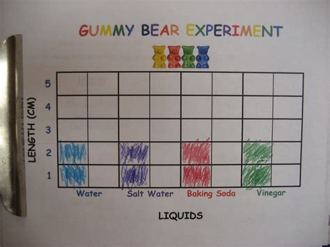 Printable Gummy Bear Experiment Worksheet