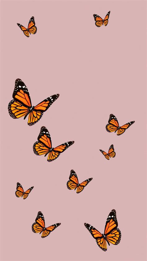 Pink Butterfly Aesthetic Wallpapers Free Download